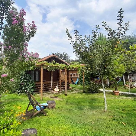 Tiny Houses Genacvale Martwili Zewnętrze zdjęcie