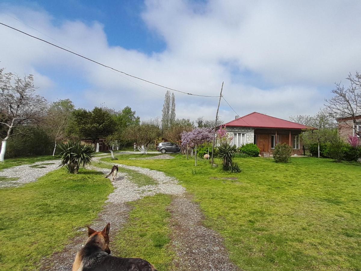 Tiny Houses Genacvale Martwili Zewnętrze zdjęcie