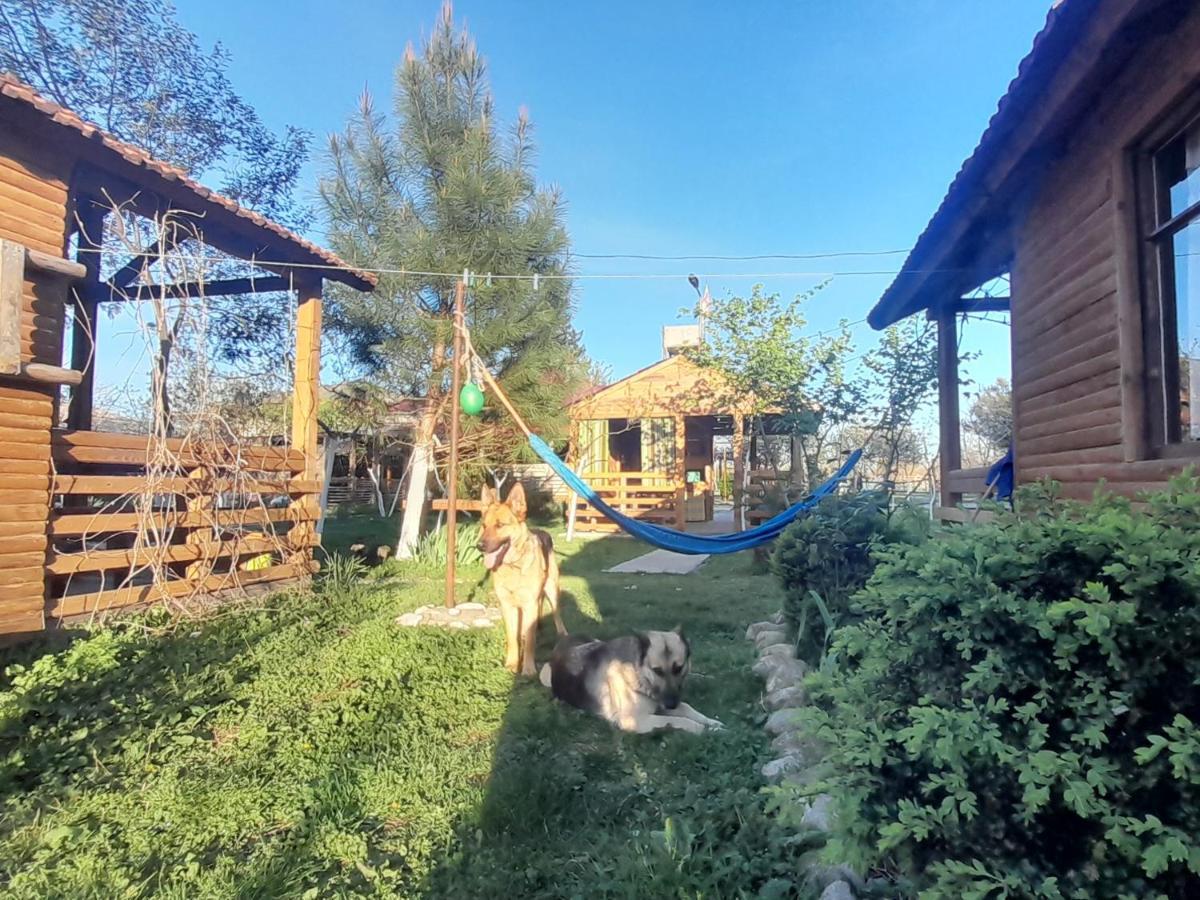 Tiny Houses Genacvale Martwili Zewnętrze zdjęcie