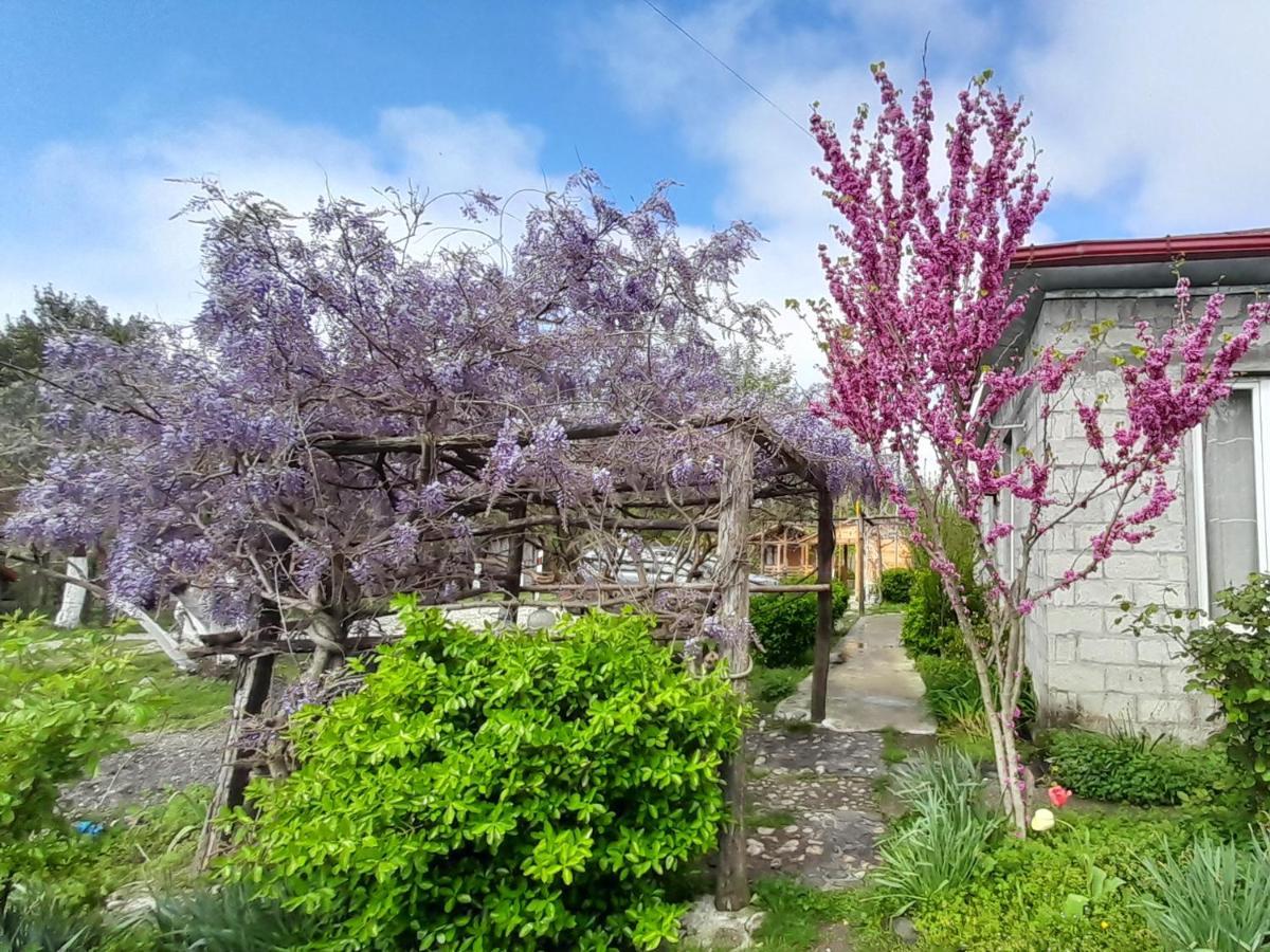 Tiny Houses Genacvale Martwili Zewnętrze zdjęcie
