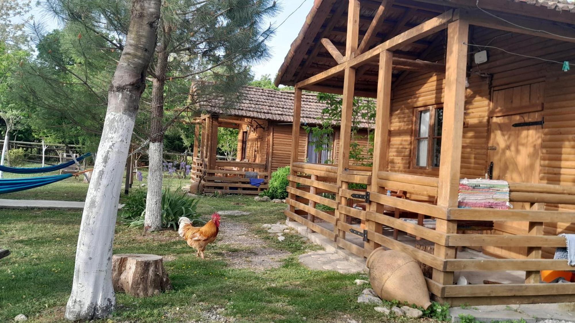 Tiny Houses Genacvale Martwili Zewnętrze zdjęcie