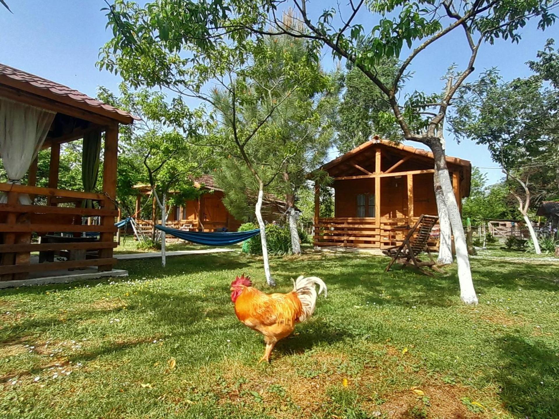 Tiny Houses Genacvale Martwili Pokój zdjęcie