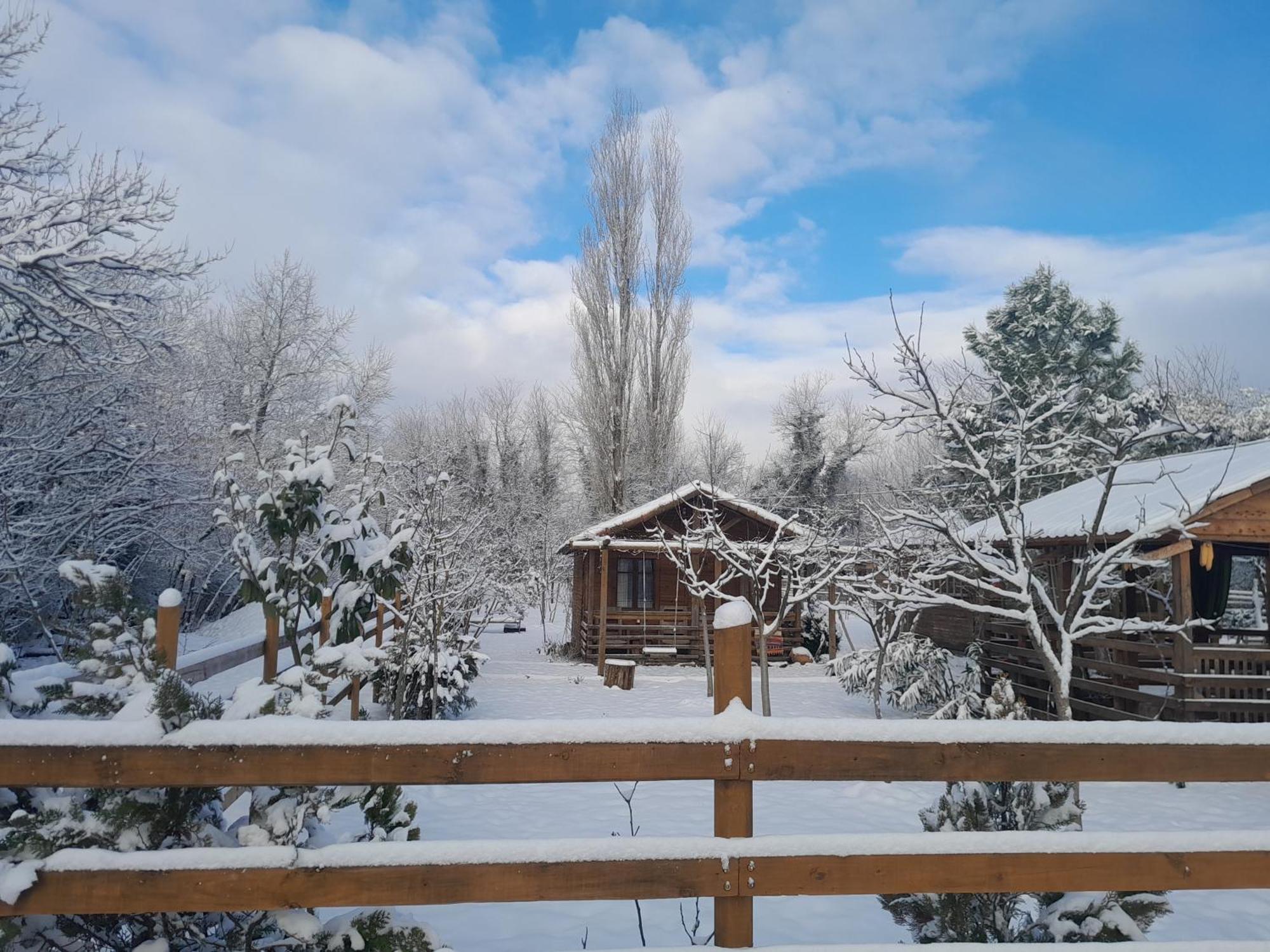 Tiny Houses Genacvale Martwili Zewnętrze zdjęcie